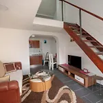 Duplex Oliva トレビニエ