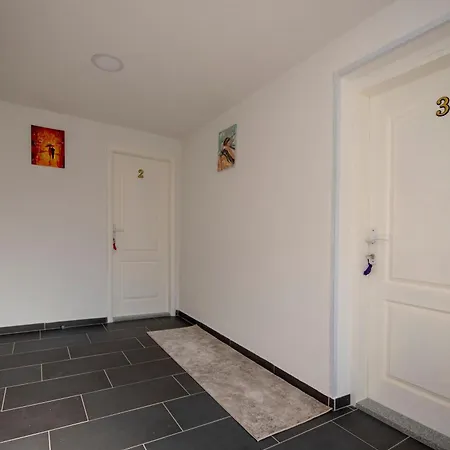 Duplex Oliva *