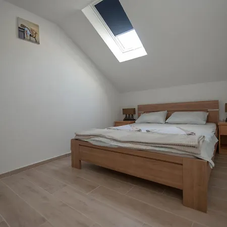 Duplex Oliva