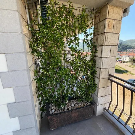 Duplex Oliva